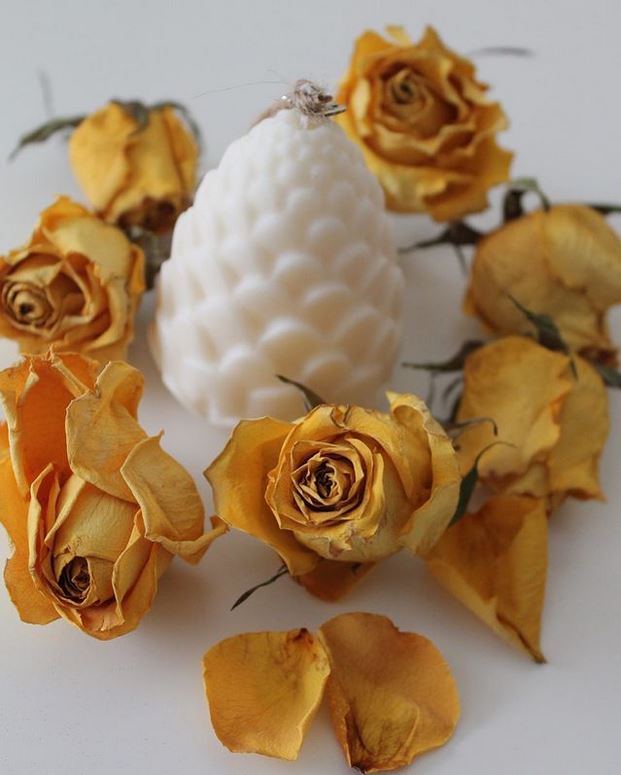 Pine Cone Candle - Scented Soy Wax