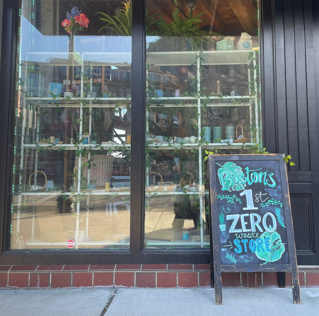 Scaredy Cat Shampoo – Uvida Shop: Boston's first Zero Waste Store