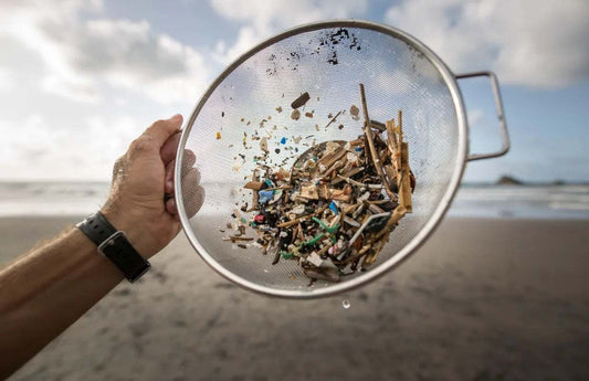 A volunteer collects microplastics and mesoplastic debris. Photo: Desiree Martin/AFP/Getty Images