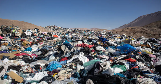Why Should We Care About Clothing Waste?