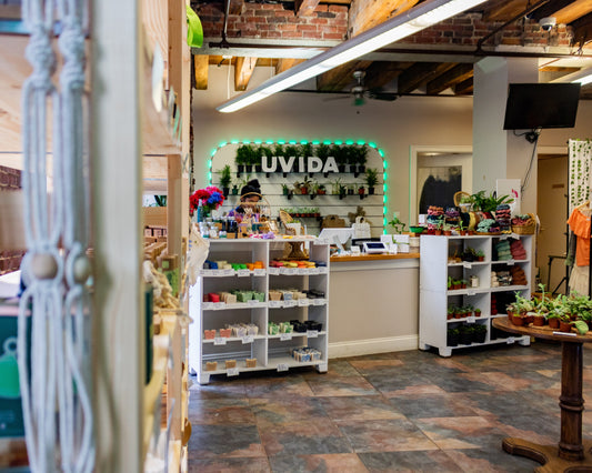 Welcome to the Uvida Shop Blog!