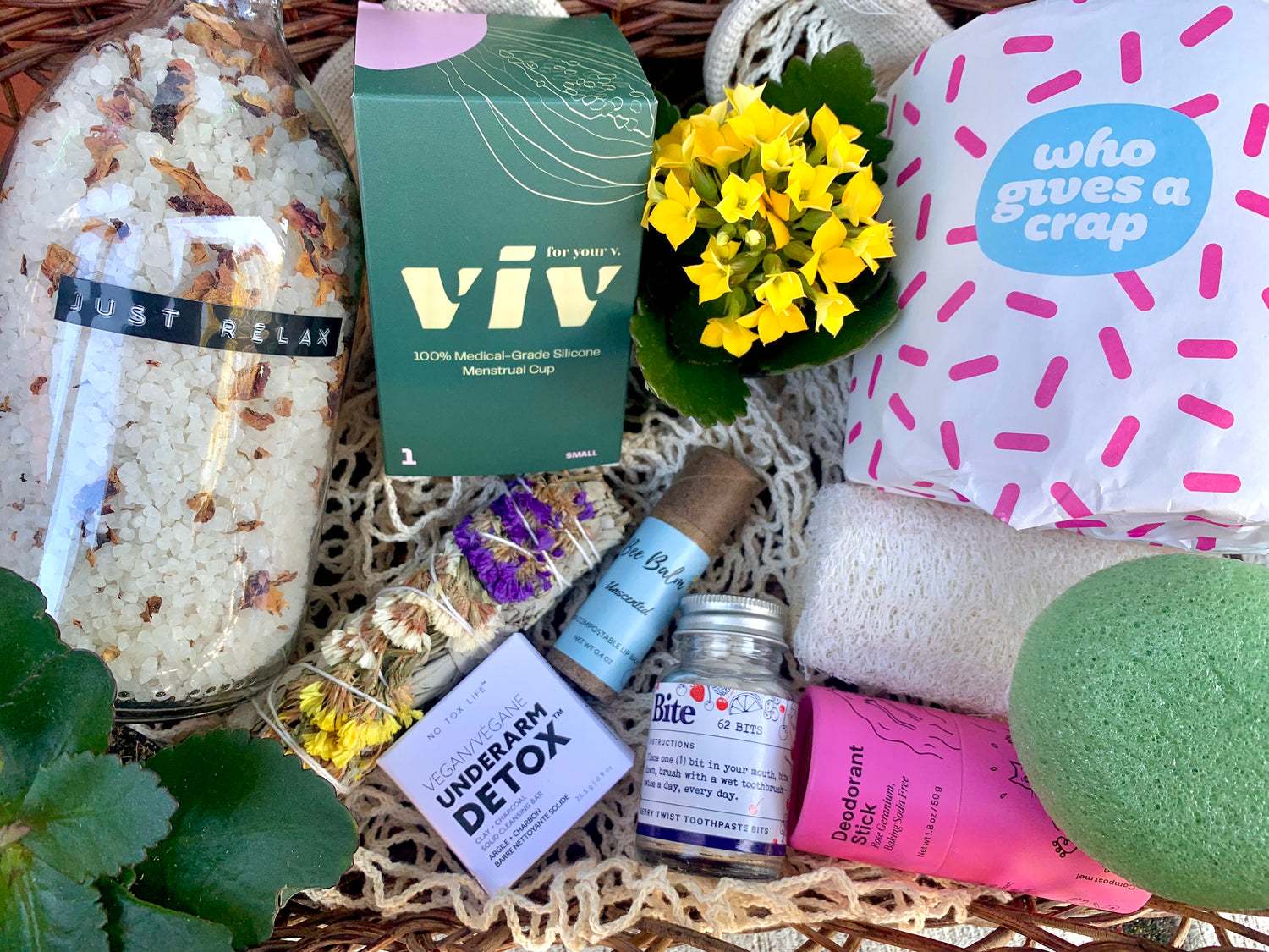 Dry Lavender Bundle – Uvida Shop: Boston's first Zero Waste Store