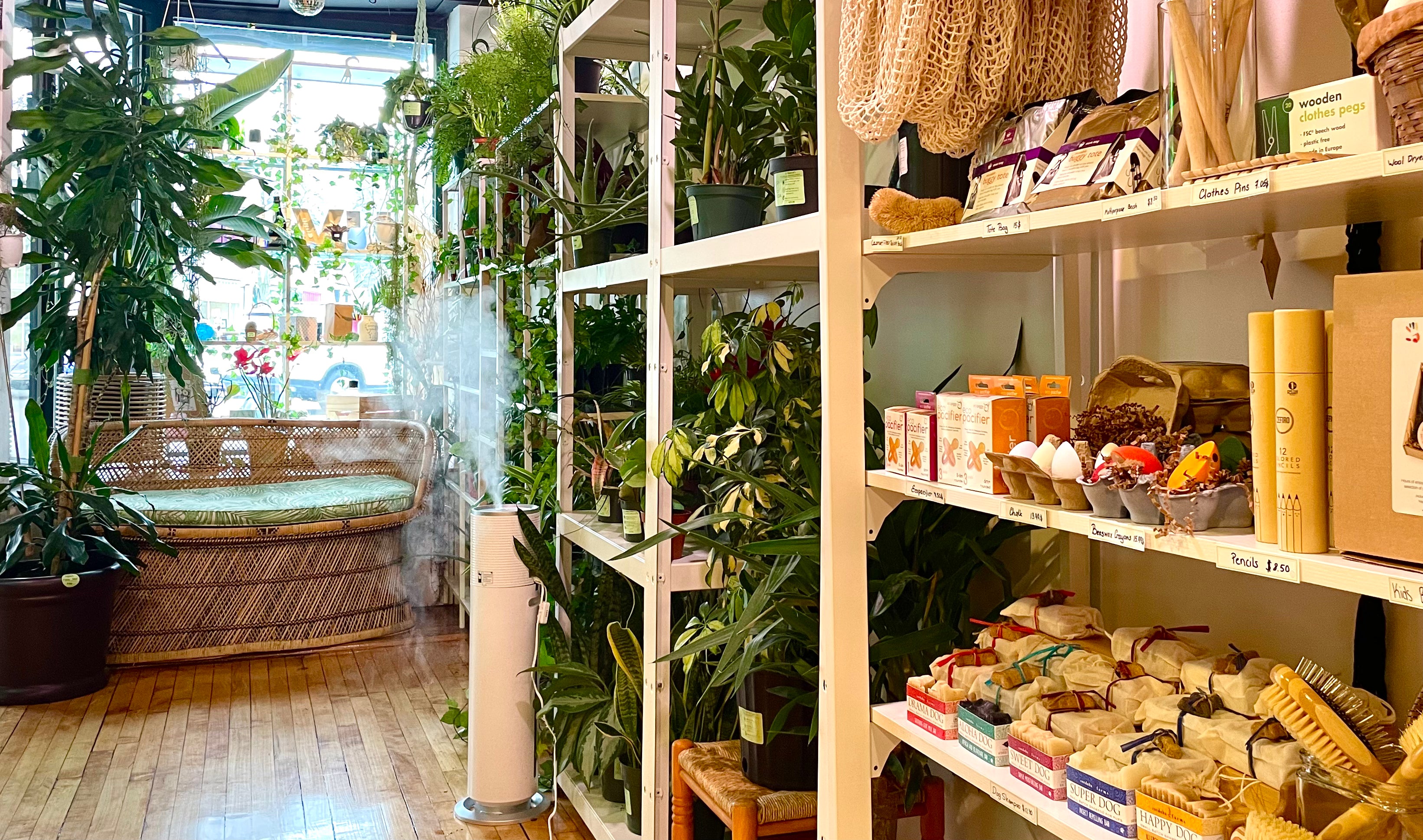 Uvida Shop Boston s First Zero Waste Store Refillery Plant