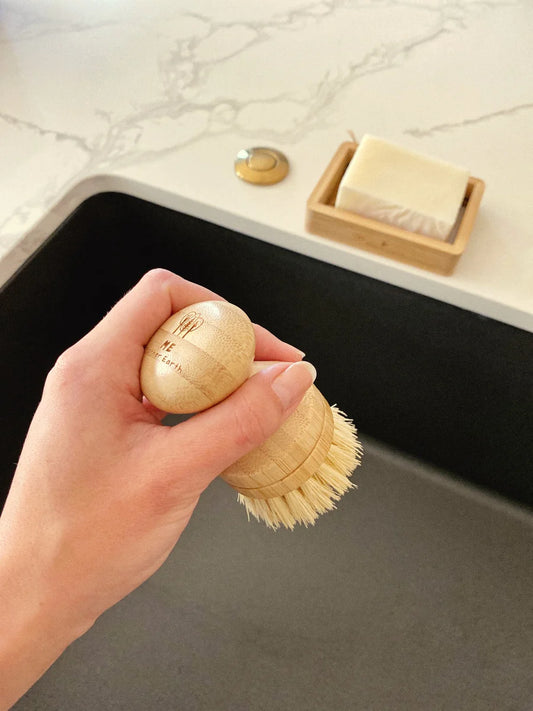 Modular Multipurpose Hand Brush