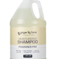 Shampoo Bottle