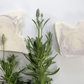 Lavender Body Soap