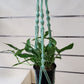 Cotton Macrame Plant Hangers