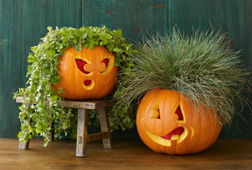 Pumpkin Carving Event