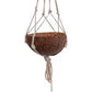 Mini Coconut Shell Pot Holder, with a Macrame Hanging Rope
