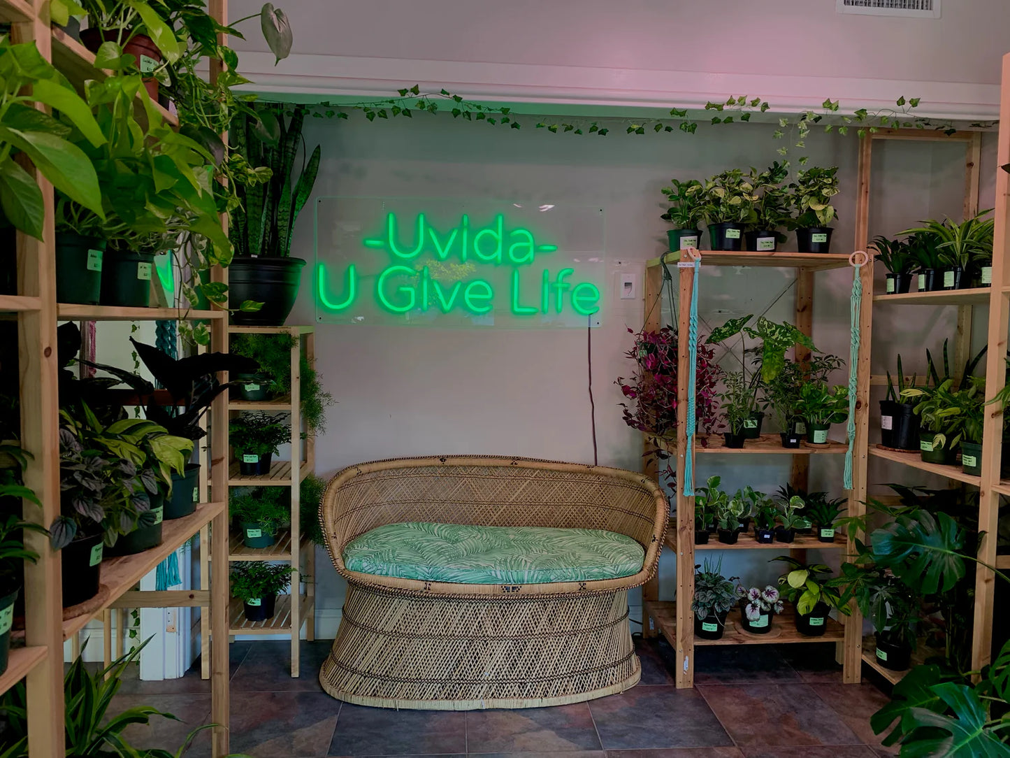 Donate to Uvida Shop