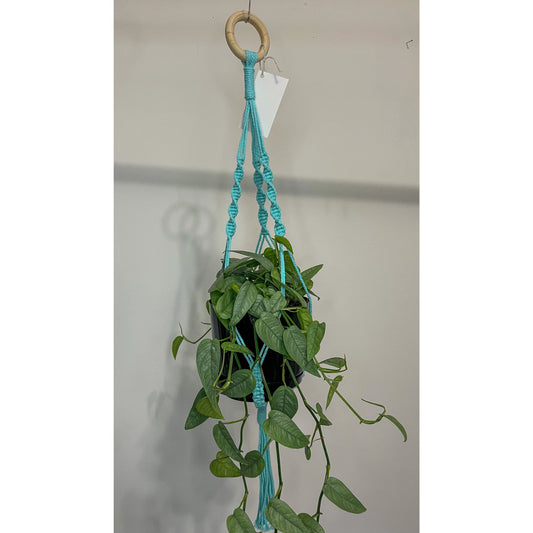 Cotton Macrame Plant Hangers