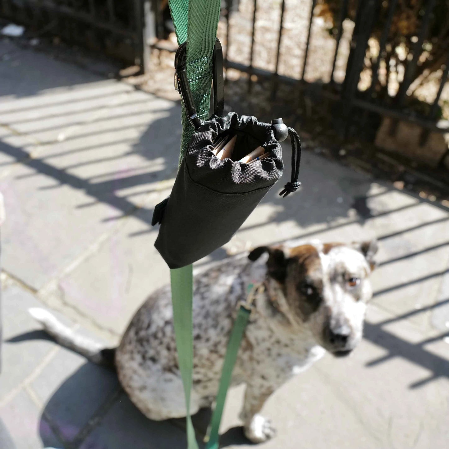 PoopShark Leash Pouch
