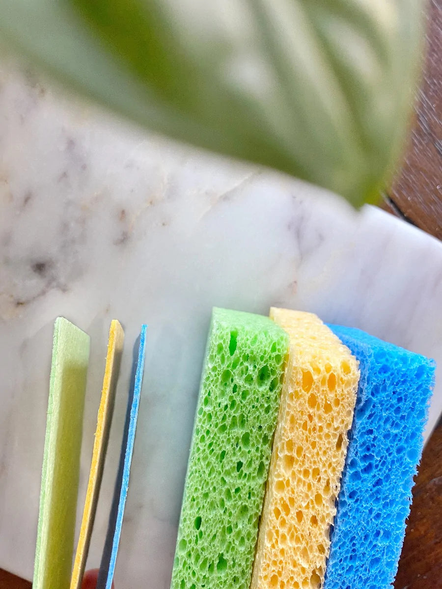 Pop-Up Sponges