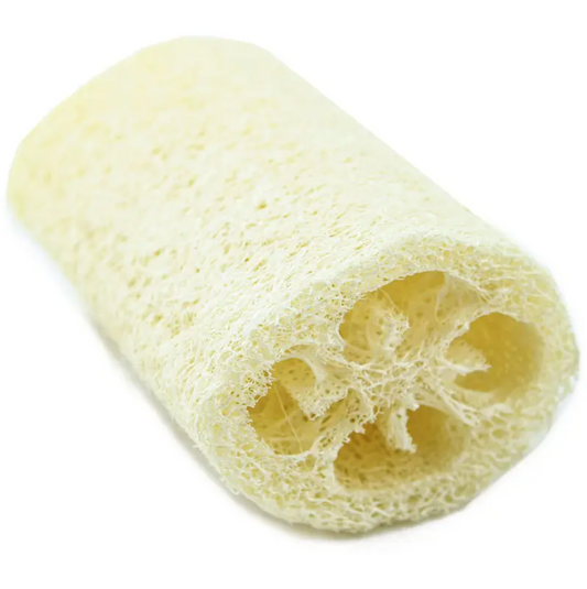 Loofah Sponge