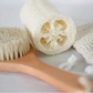 Loofah Sponge