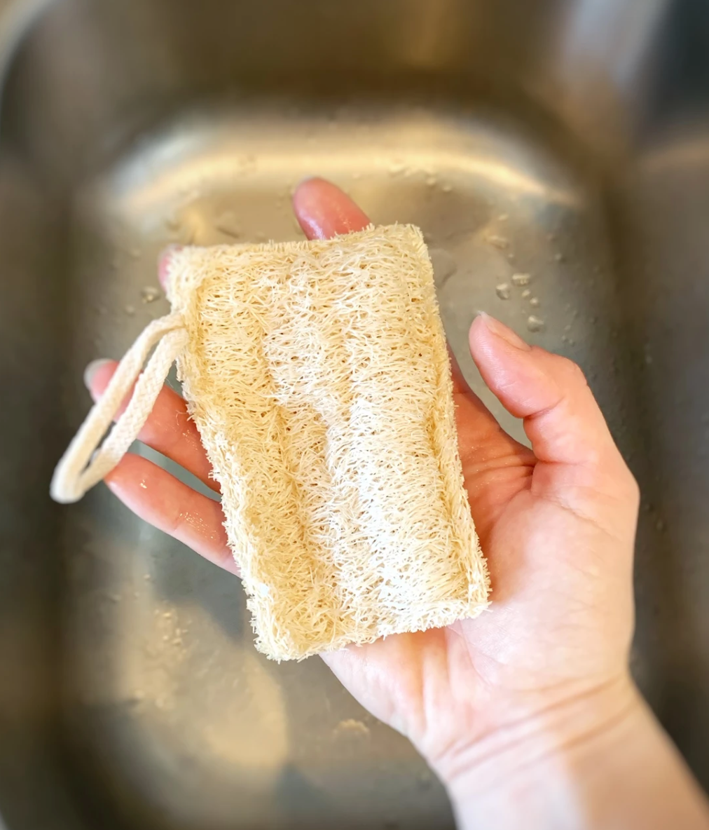 Eco Dish Sponges