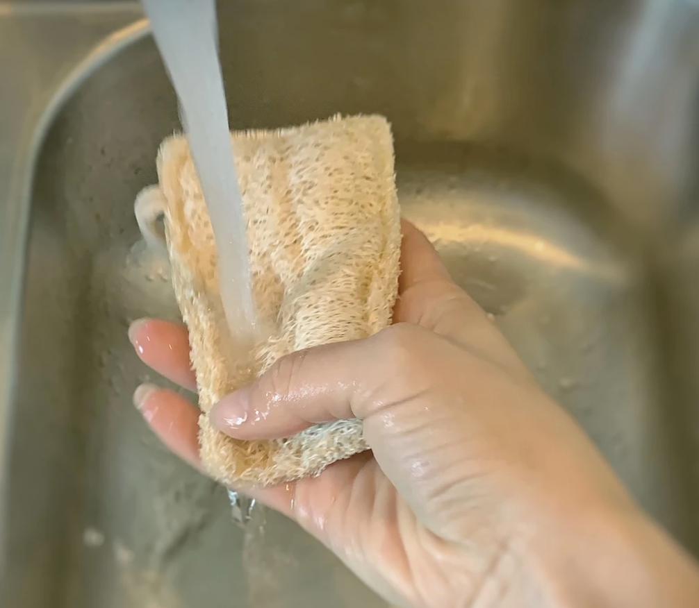 Eco Dish Sponges