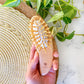 Beechwood Travel Hairbrush