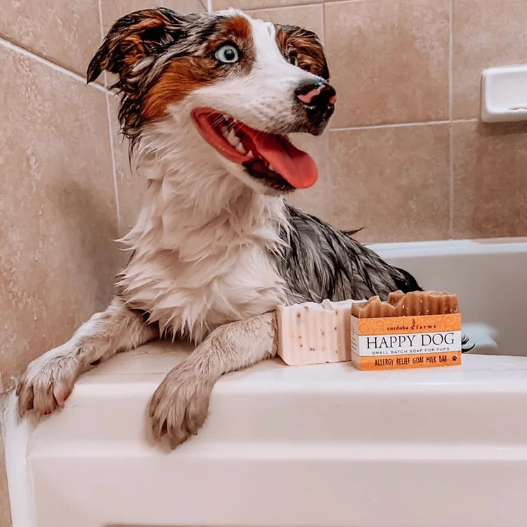 Dog Soap Bars
