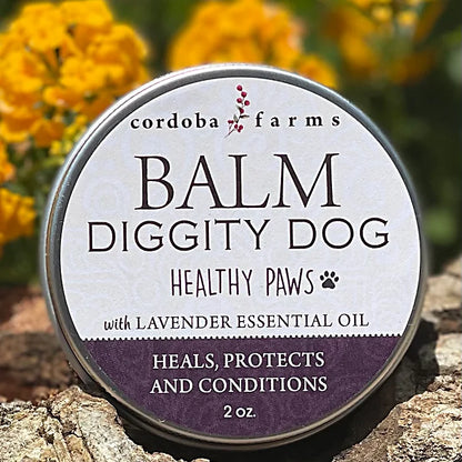 Balm Diggity Dog - Paw Protection