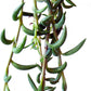 String of Fish Hooks