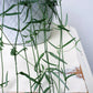 String of Needles