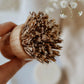 Bamboo and Palm Pot Scrubber Brush