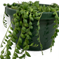 String of Beads